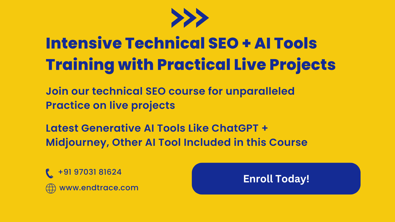 Technical SEO Course Training Practices on Live Project
